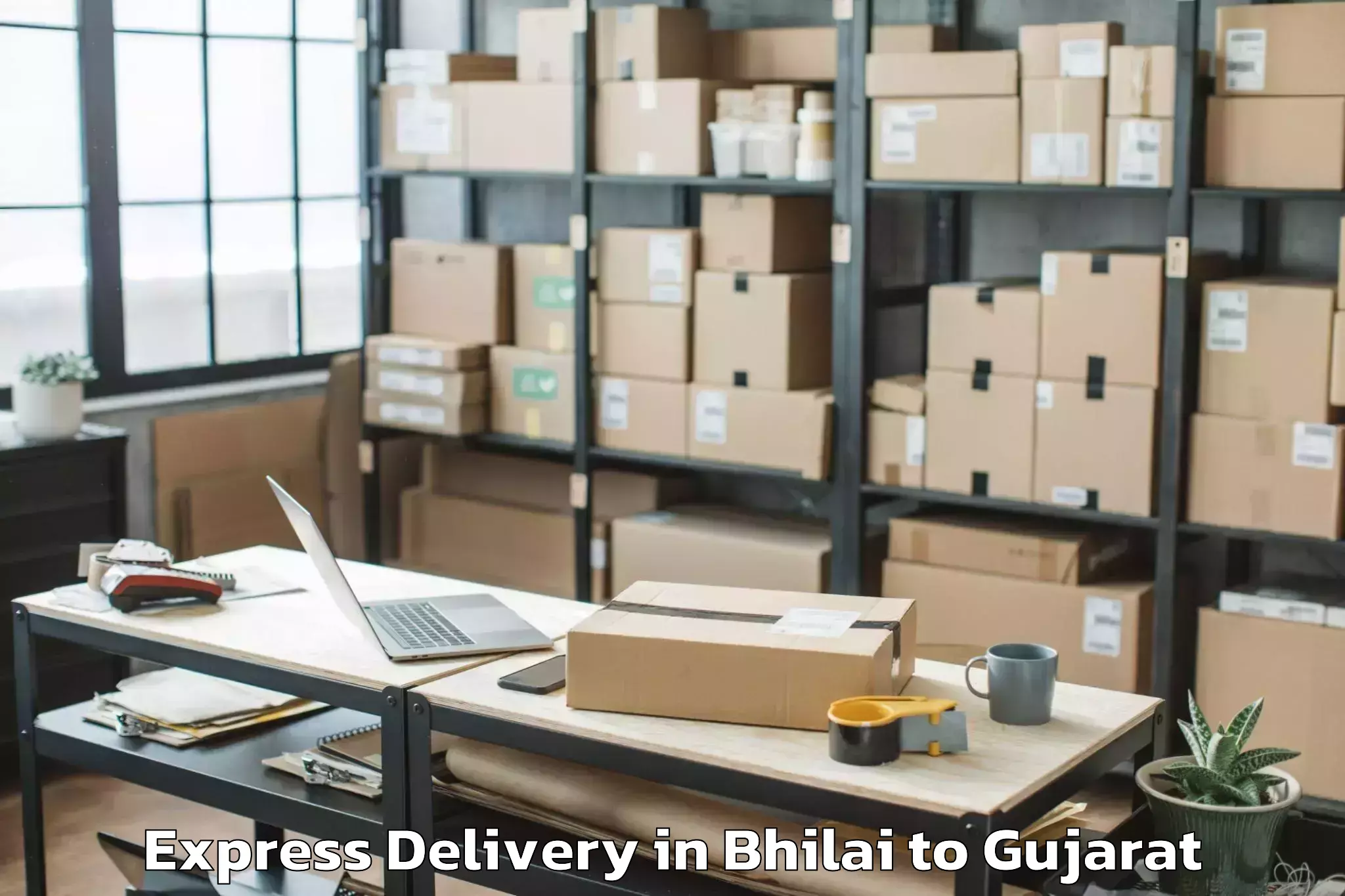 Comprehensive Bhilai to Modasa Express Delivery